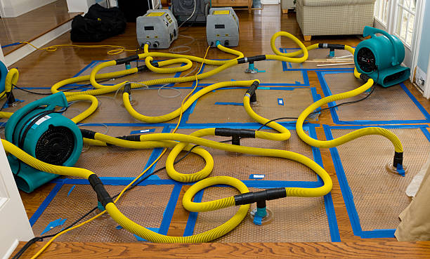Professional Crawl Space Water Removal technician working in Lyme, NH